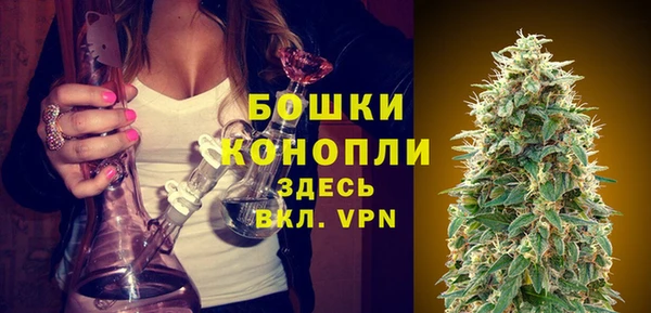 не бодяженный Пересвет