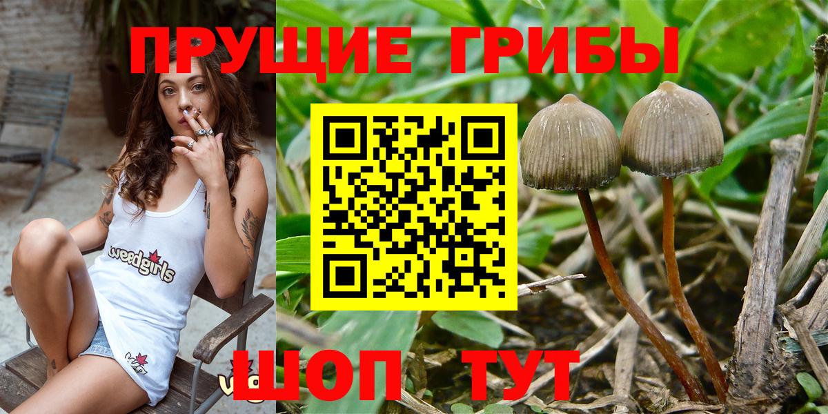 Псилоцибиновые грибы Magic Shrooms Славгород