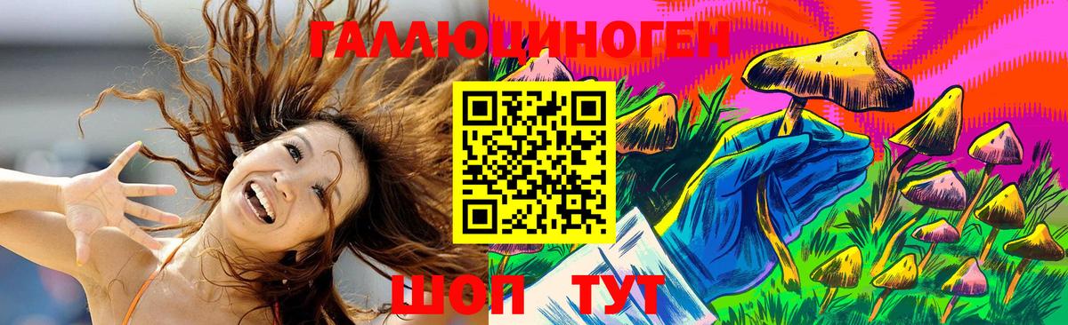 Псилоцибиновые грибы Psilocybine cubensis  Славгород  Псилоцибиновые грибы ЛСД 