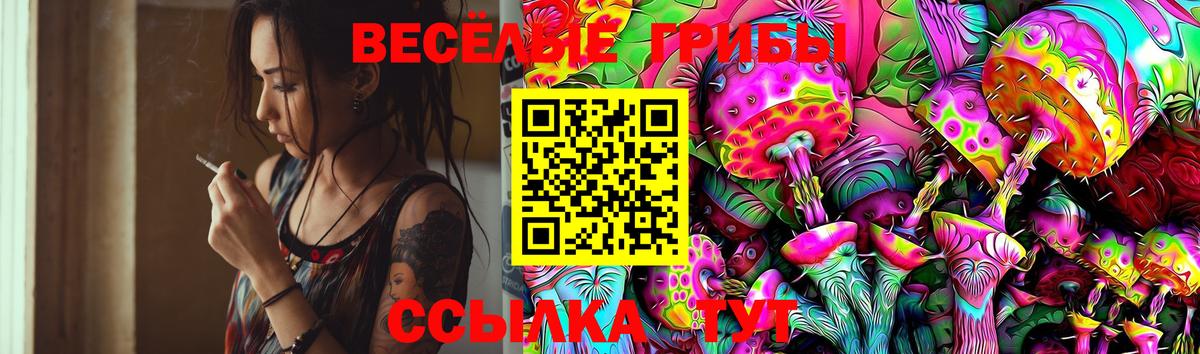 Славгород  Псилоцибиновые грибы мицелий  Псилоцибиновые грибы Psilocybe  Вход с VPN 
