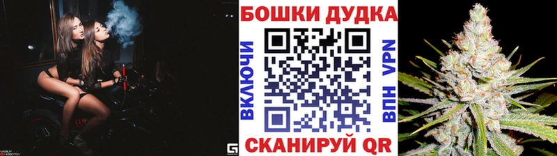 Конопля план  где купить   Славгород 